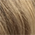 Honey Blonde Ombre